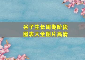 谷子生长周期阶段图表大全图片高清