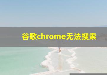 谷歌chrome无法搜索