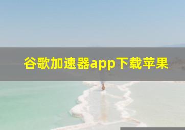 谷歌加速器app下载苹果