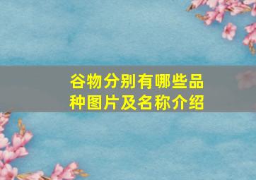 谷物分别有哪些品种图片及名称介绍