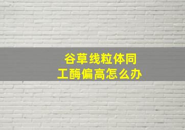 谷草线粒体同工酶偏高怎么办