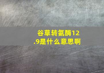 谷草转氨酶12.9是什么意思啊