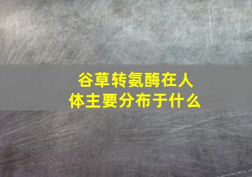 谷草转氨酶在人体主要分布于什么