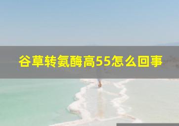 谷草转氨酶高55怎么回事