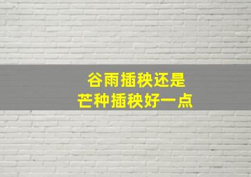 谷雨插秧还是芒种插秧好一点