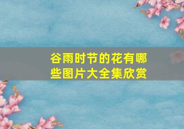 谷雨时节的花有哪些图片大全集欣赏