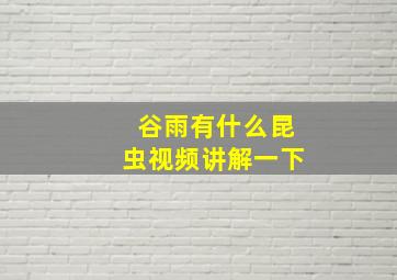 谷雨有什么昆虫视频讲解一下