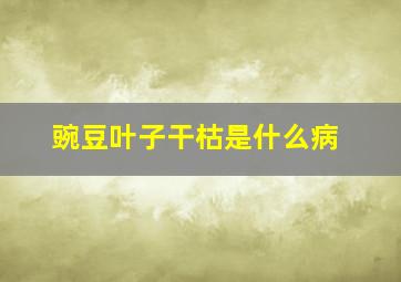 豌豆叶子干枯是什么病