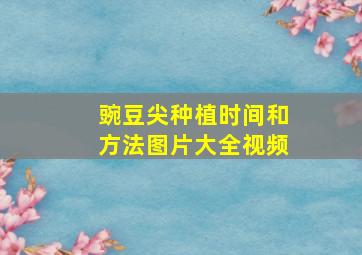 豌豆尖种植时间和方法图片大全视频