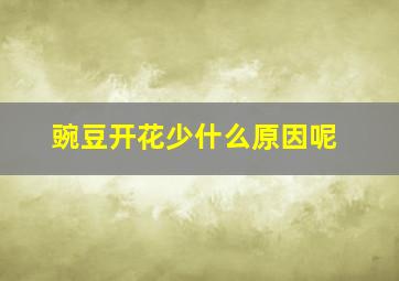 豌豆开花少什么原因呢