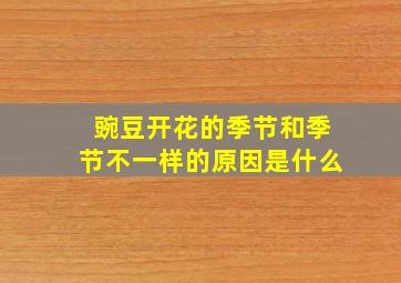 豌豆开花的季节和季节不一样的原因是什么