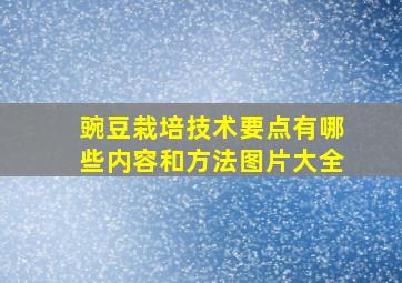 豌豆栽培技术要点有哪些内容和方法图片大全