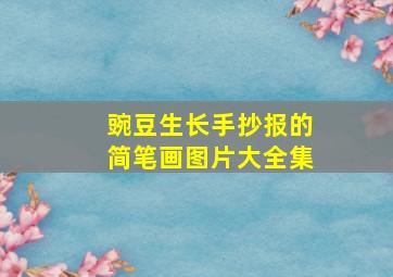 豌豆生长手抄报的简笔画图片大全集