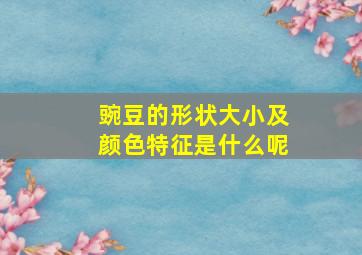 豌豆的形状大小及颜色特征是什么呢