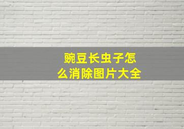 豌豆长虫子怎么消除图片大全