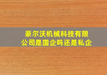 豪尔沃机械科技有限公司是国企吗还是私企