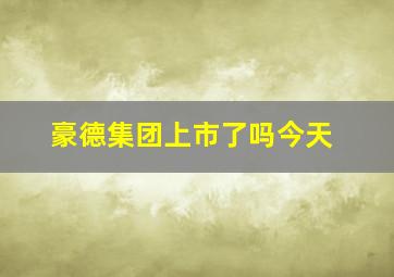 豪德集团上市了吗今天