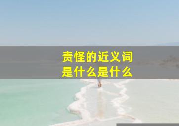 责怪的近义词是什么是什么