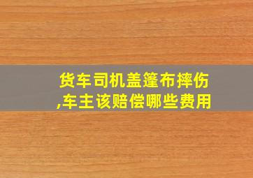 货车司机盖篷布摔伤,车主该赔偿哪些费用