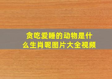 贪吃爱睡的动物是什么生肖呢图片大全视频