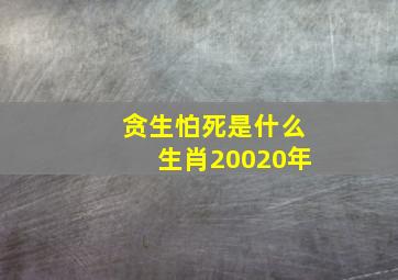 贪生怕死是什么生肖20020年