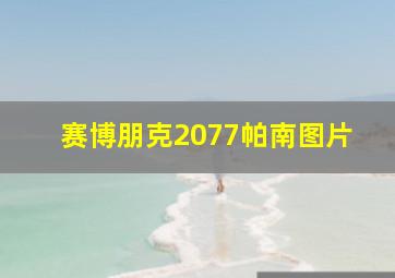 赛博朋克2077帕南图片