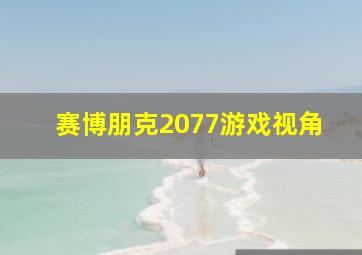 赛博朋克2077游戏视角