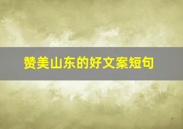 赞美山东的好文案短句