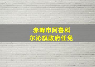 赤峰市阿鲁科尔沁旗政府任免