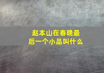 赵本山在春晚最后一个小品叫什么