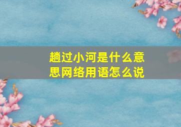 趟过小河是什么意思网络用语怎么说