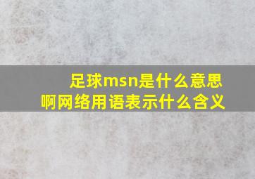 足球msn是什么意思啊网络用语表示什么含义