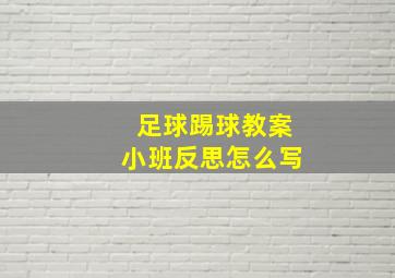 足球踢球教案小班反思怎么写