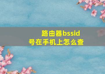 路由器bssid号在手机上怎么查