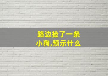 路边捡了一条小狗,预示什么