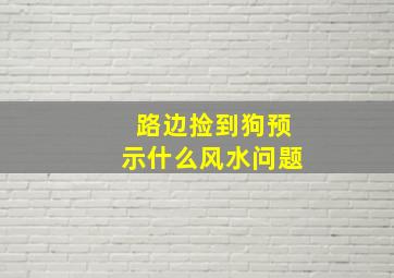 路边捡到狗预示什么风水问题