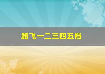 路飞一二三四五档