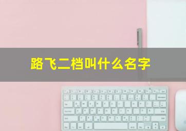 路飞二档叫什么名字