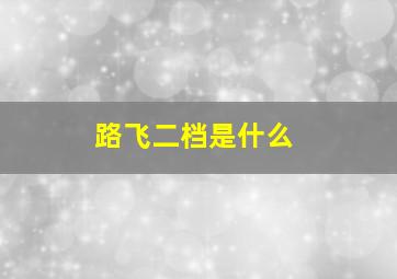 路飞二档是什么