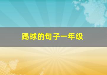 踢球的句子一年级