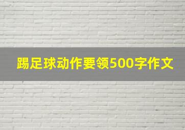 踢足球动作要领500字作文