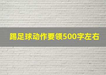 踢足球动作要领500字左右