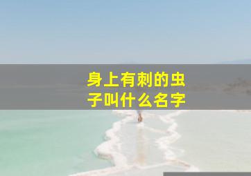 身上有刺的虫子叫什么名字