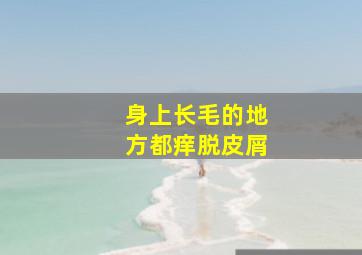 身上长毛的地方都痒脱皮屑