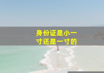 身份证是小一寸还是一寸的