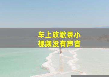 车上放歌录小视频没有声音