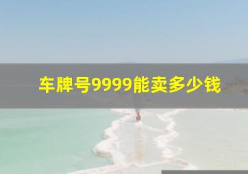 车牌号9999能卖多少钱