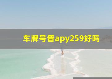 车牌号晋apy259好吗