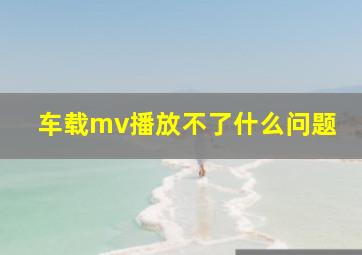 车载mv播放不了什么问题