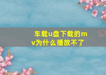 车载u盘下载的mv为什么播放不了